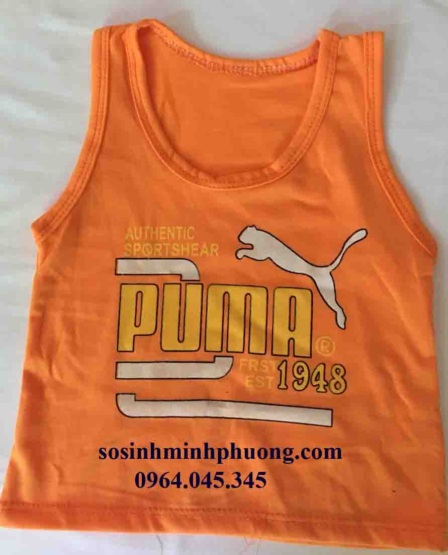 1691158711_2_ao_puma7