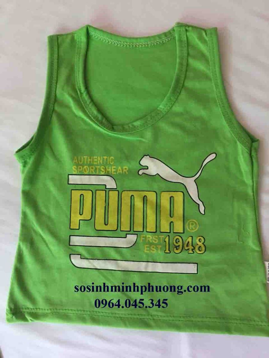 1691158711_2_ao_puma6