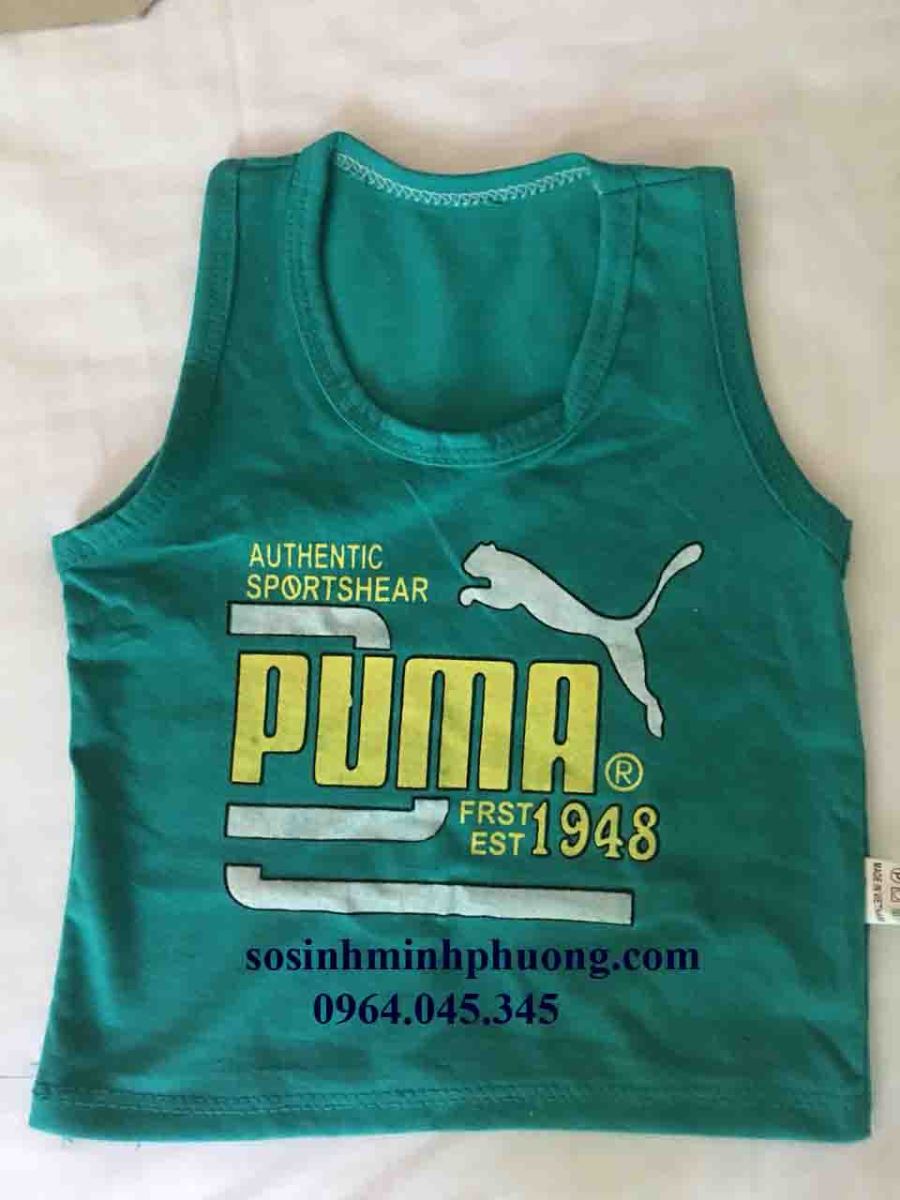 1691158711_2_ao_puma5