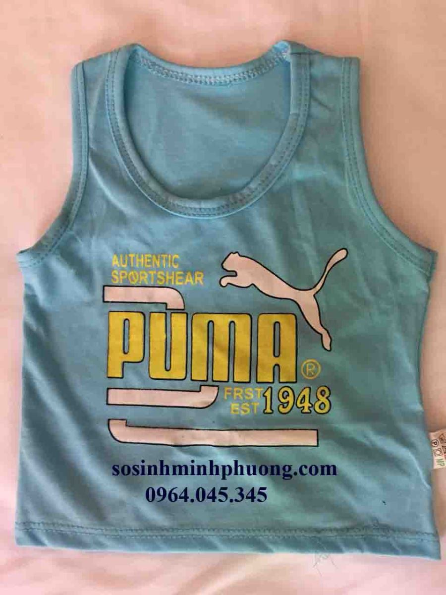 1691158710_2_ao_puma4